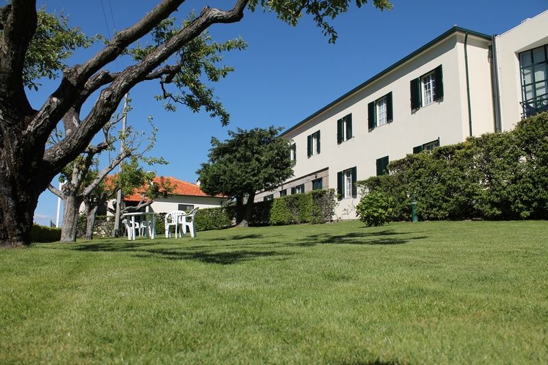 Quinta Da Timpeira Guest House Lamego Ngoại thất bức ảnh