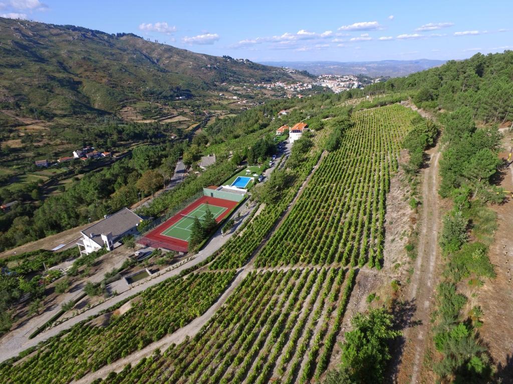 Quinta Da Timpeira Guest House Lamego Ngoại thất bức ảnh