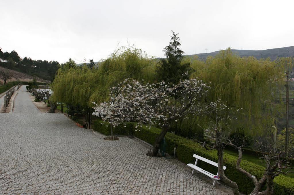 Quinta Da Timpeira Guest House Lamego Ngoại thất bức ảnh