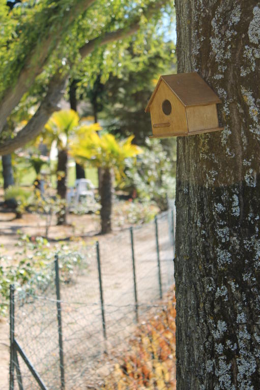 Quinta Da Timpeira Guest House Lamego Ngoại thất bức ảnh